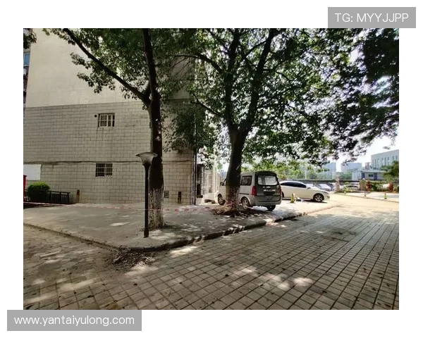 如何通过亚星国际嘉园物业电话快速解决物业维修与投诉问题，提升居住体验